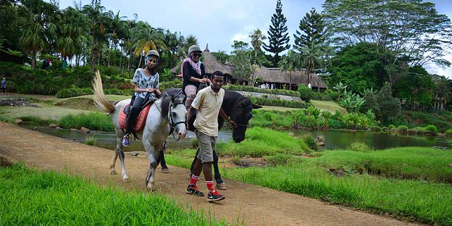 Horse riding excursion and quad biking (8)